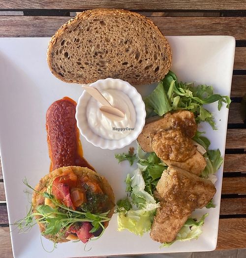 Dish of the day (grilled tofu with salad) at Baobab in Fuerteventura