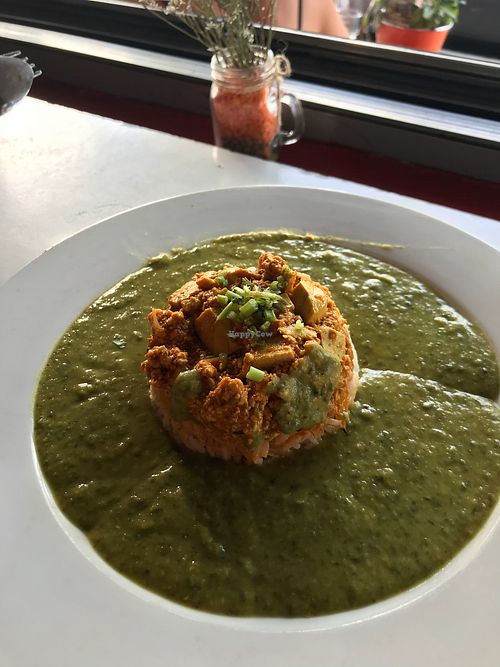 Tofu Masala at Lentil as Anything - Newtown in Newtown