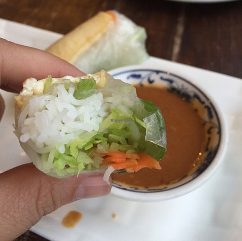 spring roll. fresh. tasty! at Urban Orient in South East London