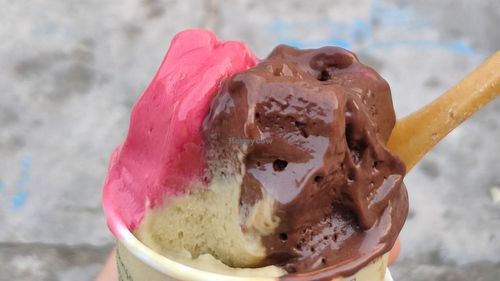 Raspberry, vegan chocolate and vegan pistachio at Rivareno Gelato Paris Huchette in Paris