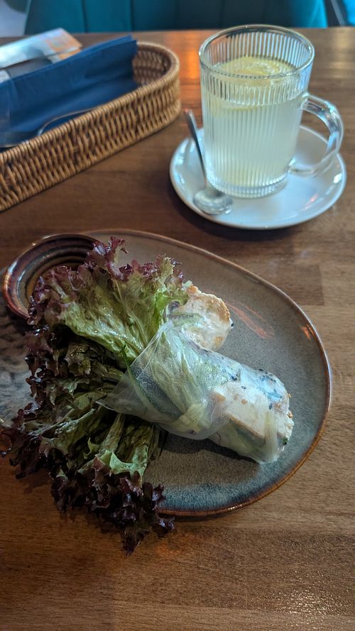 Summer rolls with tofu at Hallo VietNam in Goessweinstein