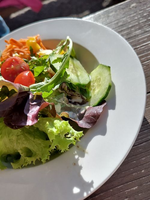 Side Salad at Berggaststätte Gotzenalm in Schoenau Am Koenigssee