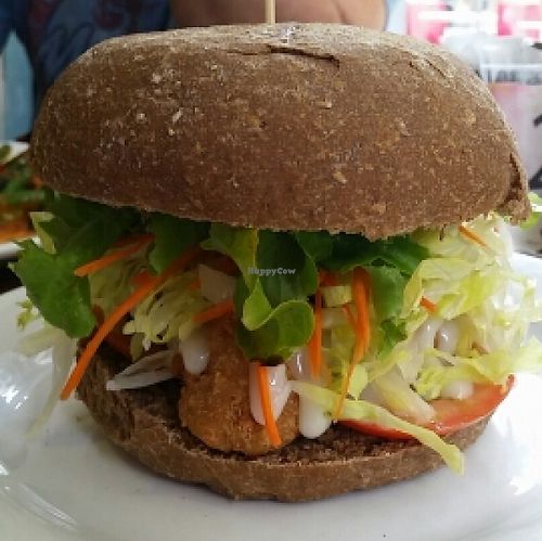 sfc burger  at Zenhouse in West Hindmarsh