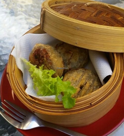 fried bean curd  at Zenhouse in West Hindmarsh