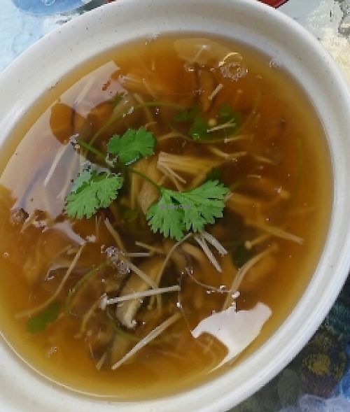 mushroom noodle soup at Zenhouse in West Hindmarsh