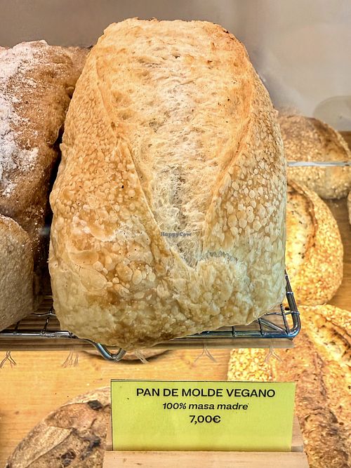 .  at UCO BAKERY Obrador in Mallorca