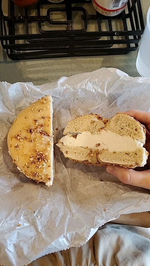 Garlic bagel with vegan cream cheese at Bagel Bakery in Gainesville