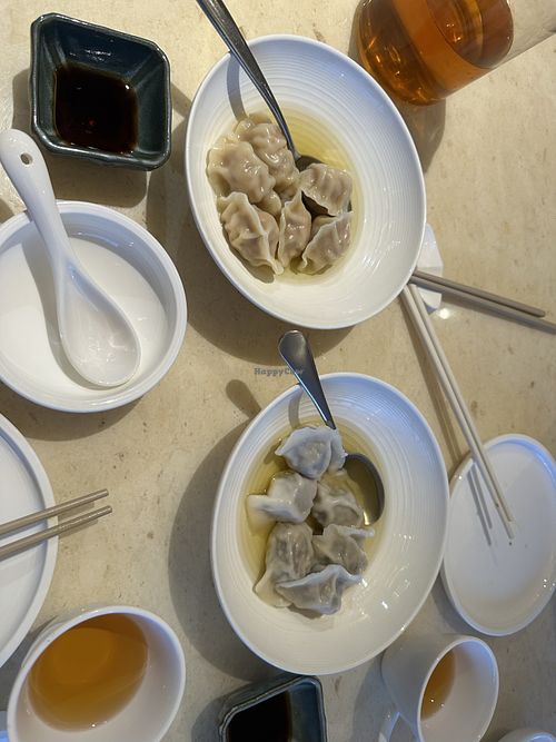 Handmade dumplings - spicy and mushroomm  at Wosan Yauso 禾山有素·素宴 in Shenzhen