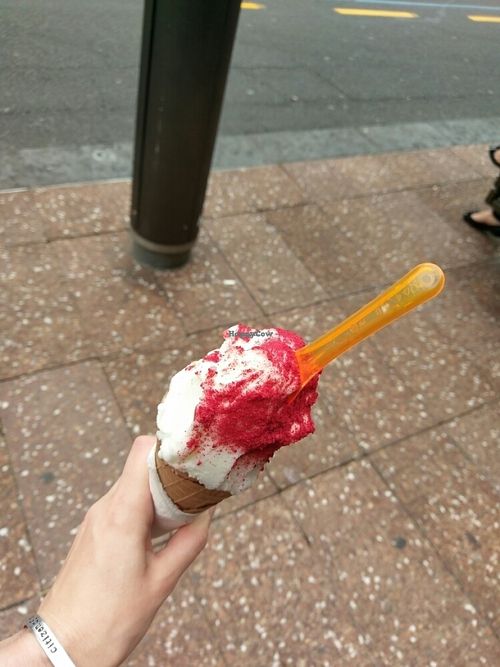 Lemon sorbet with vegan chocolate come and raspberry powder  at Giapo in Auckland