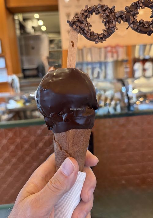 Specta Cool Cone   at Giapo in Auckland