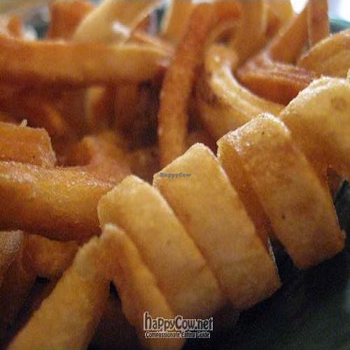 The Curly fries at Curly's Vegetarian Lunch are a must-have; anything you get, you must get a side of fries. They're that good! at Curly's Vegetarian Lunch in New York City