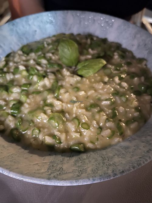 Asparagus risottoo  at Fundamentum in Korcula