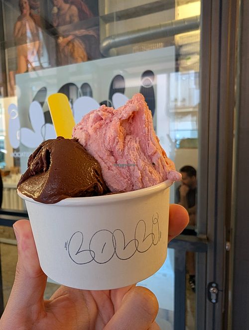 my picks at Lolli Gelato in Madrid