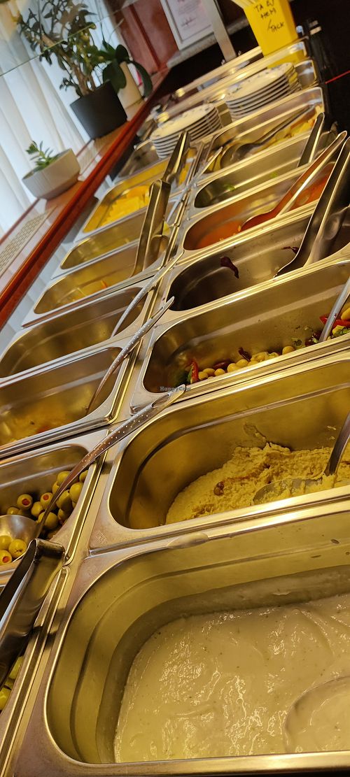  at Vegegården in Malmo