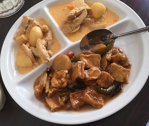 Sojastrimlor i massaman & Stekt tofu med grönsaker at Vegegården in Malmo