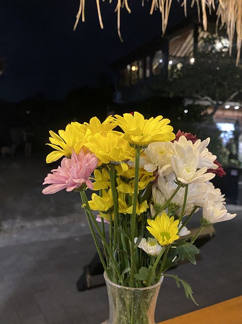 flowers on the tablee  at Falafel Warung in 