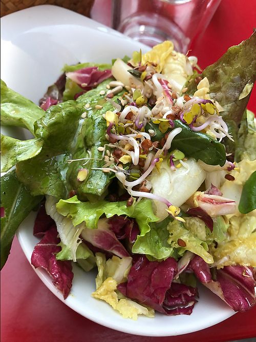 delicious salad at Eugens Bio Cafe Restaurant in Konstanz