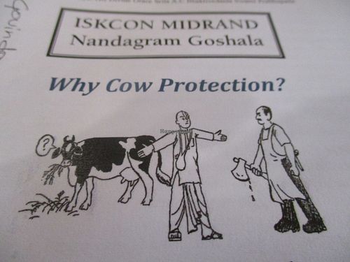 The place is actively involved in cow protection. at Govinda - Midrand in Johannesburg