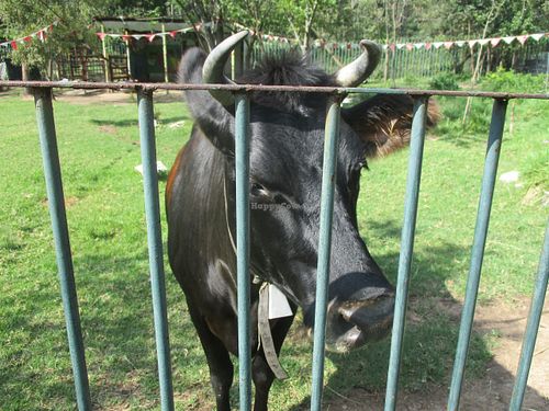 'I want foooooood!' ;) at Govinda - Midrand in Johannesburg