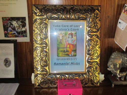 The love for cows is everywhere in this restaurant and temple. at Govinda - Midrand in Johannesburg