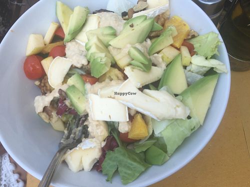 Shake salad at Shake Cafe - Santa Maria Novella in Florence
