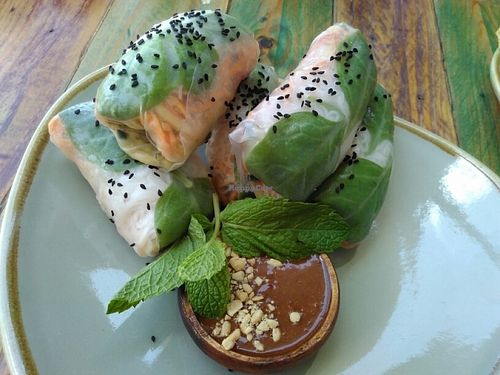 Vietnamese rolls at Nurcha Maroochydore in Buderim