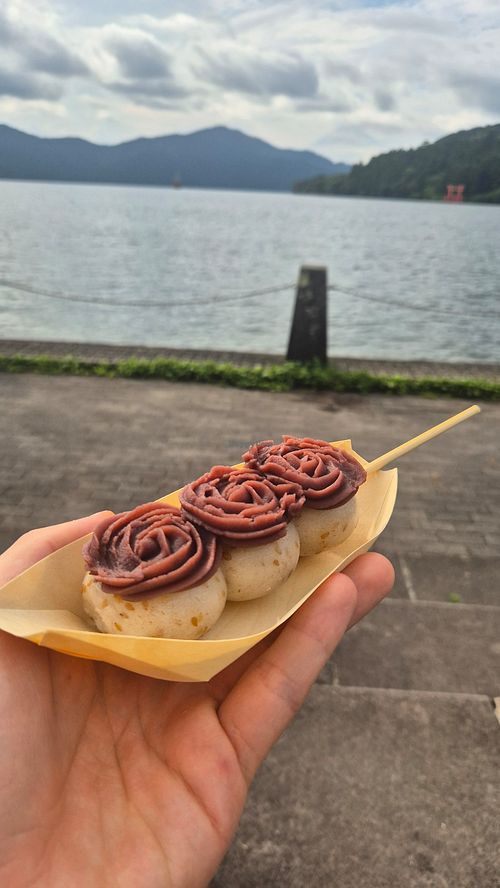 Golden sesame rice dango with Hokkaido sweet red bean paste at Ashinoko Mitsufukuchaya in Hakone