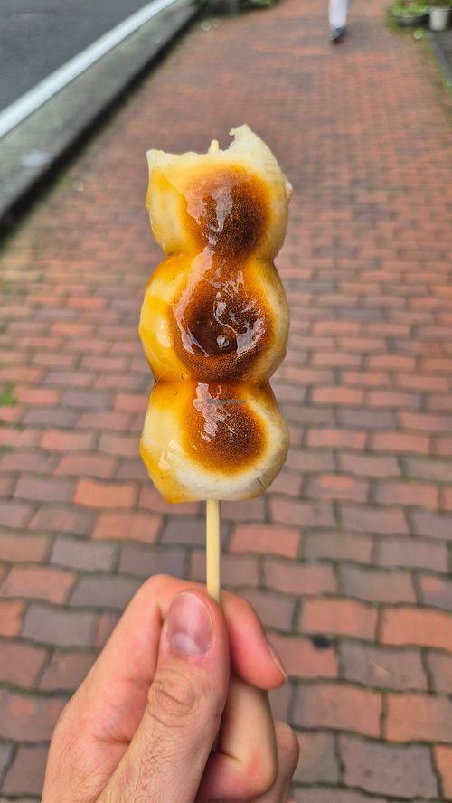 White rice dango with sweet soy glaze at Ashinoko Mitsufukuchaya in Hakone