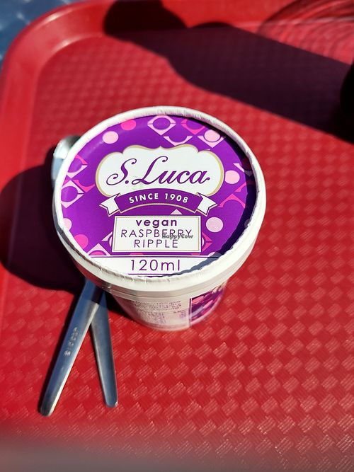 Vegan ice cream at Seabird Cafe in North Berwick