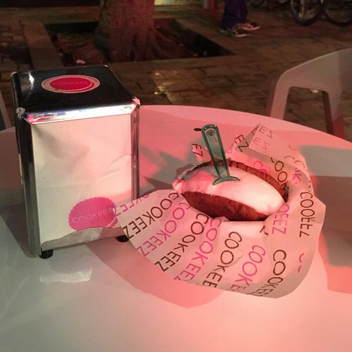 coconut vegan icecream with chocolate chip cookie at Cookeez - Dizengoff in Tel Aviv