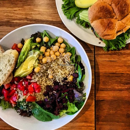 quinoa bed and Dd burger.  at The Dancing Dog in Urbana