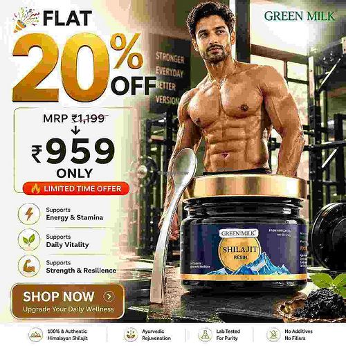  at Green Milk Concepts in Chennai