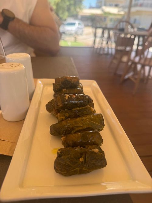Stuffed vine leaves (dolmadakia )  at Kri-Kri Restaurant in Chania
