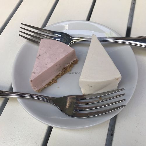 Key lime & strawberry cheezcakes at Green Cup Cafe in Fort Myers