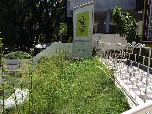 Entrada at Ve - Emporio e Restaurante Vegano in Porto Alegre