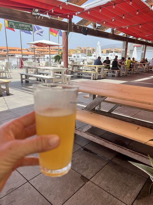 Kombucha   at kVegan in Tenerife