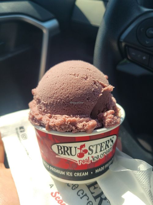 Black raspberry oat milk ice cream at Bruster's Real Ice Cream in Florence