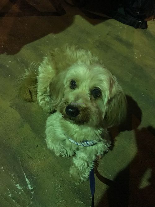 :) at Boteco Ouzar in Sao Paulo