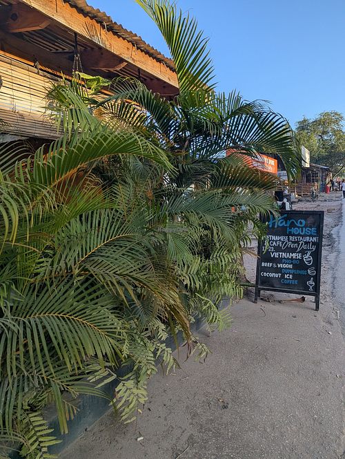 Across the street from J F Kilicoffee at Hanoi House Nungwi in Zanzibar
