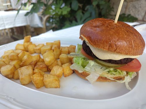 Vegan burger with hummus at Montimar in Mallorca