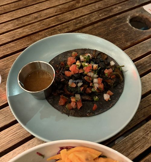 Vegan Taco  at Tropicale in Portland