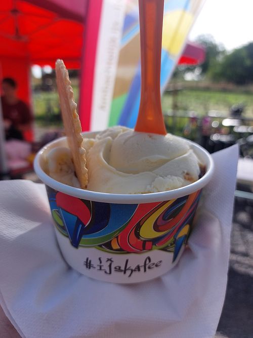 Vegan ice cream at IJskafee Diest in Diest