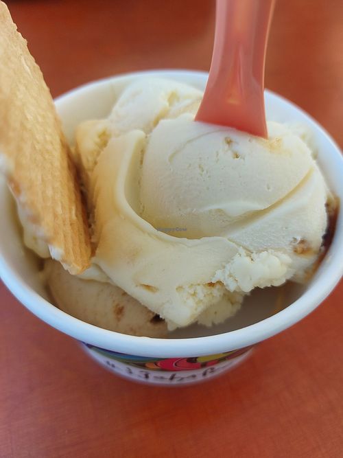 Vegan ice cream at IJskafee Diest in Diest