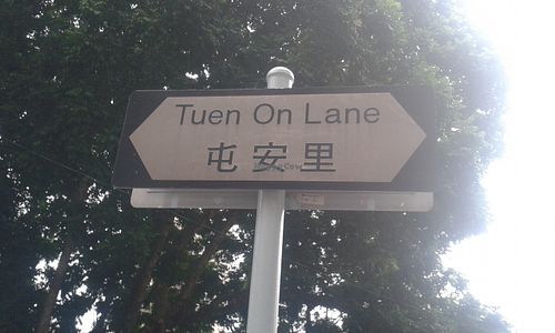 The monastery is on this lane at Ching Leung Fat Yuen Ching Yan Siu Chok in New Territories