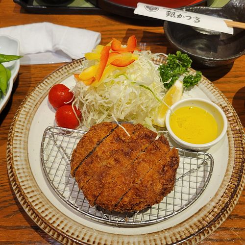 My meal :) at Tamura Ginkatsu-tei in Hakone
