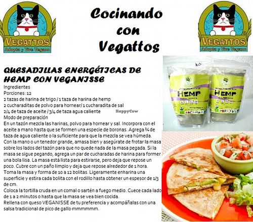 veggie recipes from vegattos at Vegattos in Mexico City