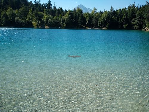 Naturhotel LechLife at Naturhotel LechLife in Wangle