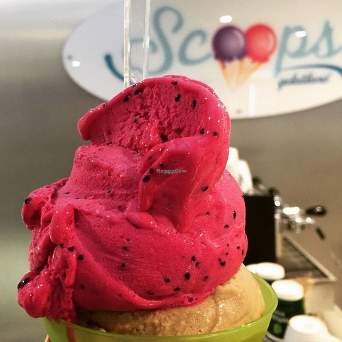 Delicious vegan gelato. They always have a really nice selection of lactose-free sorbets. Agar-agar is used instead of gelatin in all the gelato.   at Scoops Gelatiland in Palm Cove