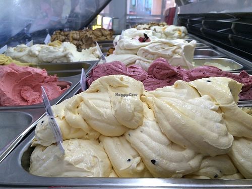 Loads of vegan sorbets with a delicious creamy texture  at Scoops Gelatiland in Palm Cove