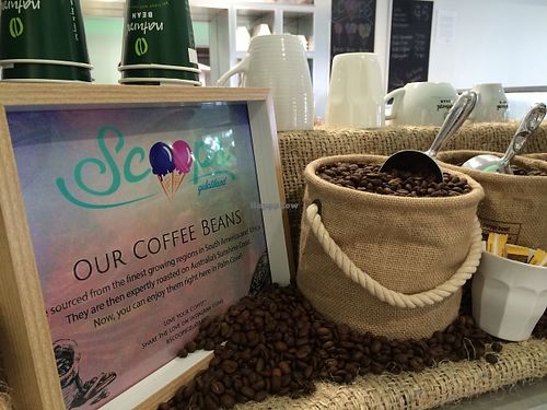 Organic, fair-trade coffee at Scoops Gelatiland in Palm Cove